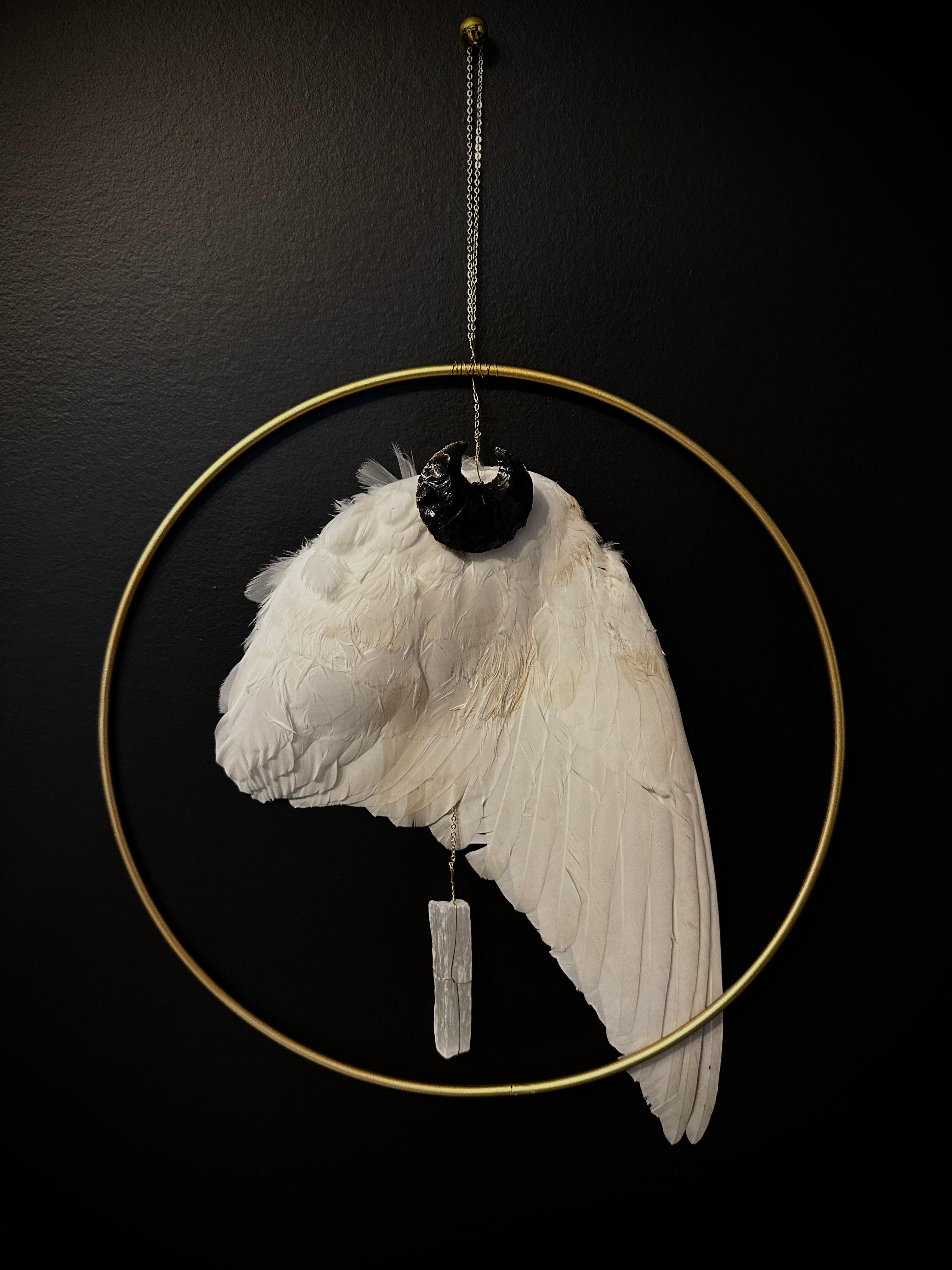 Dove Wing Wall Hanging